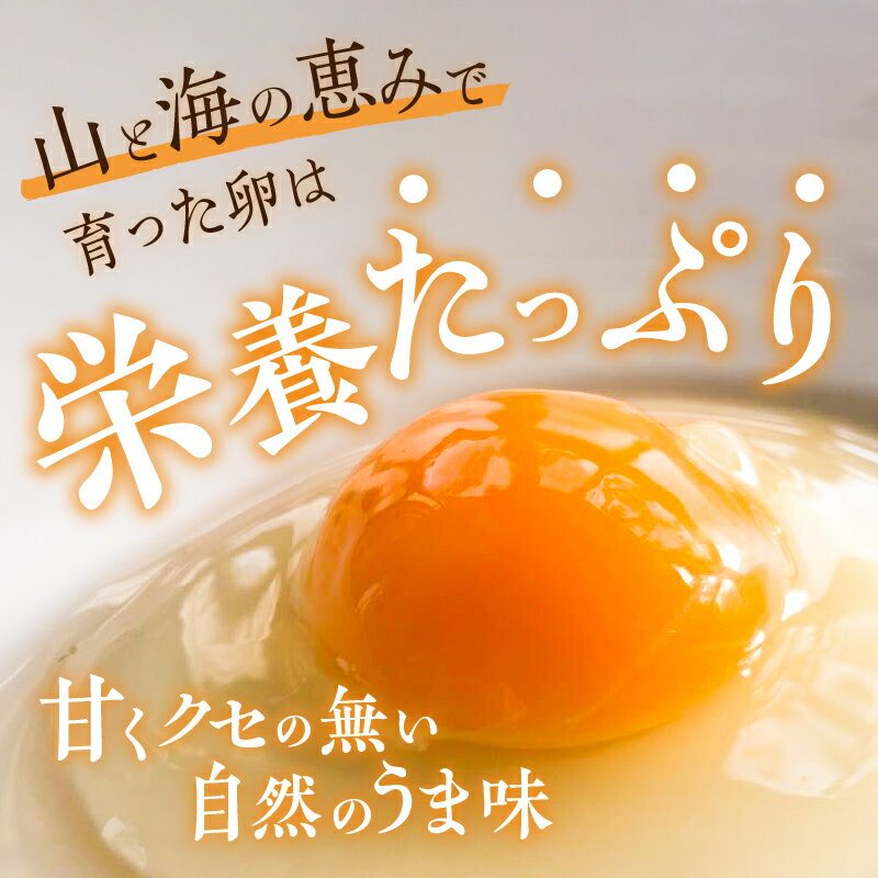 【ふるさと納税】 卵 下田ブルー 青い卵 自然養鶏アローカナ 静岡県産 6個入り×2パック