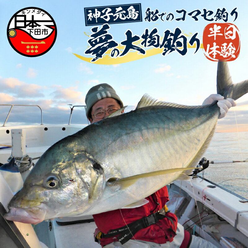 楽天静岡県下田市【ふるさと納税】 体験 釣り コマセ 海 船 旅行 レジャー 神子元島