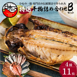 【ふるさと納税】 干物 金目鯛 あじ さんま 味醂干 さば 詰め合わせ ギフト 国産 無添加 魚 魚介類 おかず おつまみ 4種 11枚 静岡 伊豆 下田市 干物専門店 【小木曽商店】 Bセット 送料無料