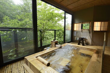 【ふるさと納税】飲泉、自家源泉かけ流しの宿 観音温泉「ピグマリオン・レギュラー和室」ペア宿泊招待券(1泊2食付)ペア宿泊券 ペア 宿泊 温泉 温泉付き客室 露天風呂付客室 懐石料理 送料無料