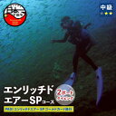 【ふるさと納税】 ダイビング 海 エンリッチドエアー 2ボードダイビング オープンウォーターダイバー ライセンス保持者 体験 アウトドア スポーツ 海 アクティ...