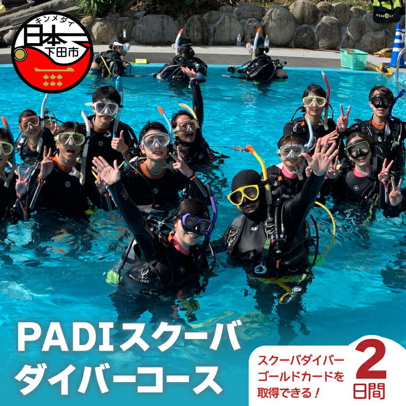 【ふるさと納税】 ダイビング 資格取得 海 PADI ライセンス コース 2日間 ライセンス保持者 アウトドア..