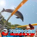 【ふるさと納税】 チケット 入場券 ペア 水族館 下田海中水族館 体験 伊豆 下田