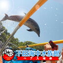 【ふるさと納税】 チケット 入場券 ペア 水族館 下田海中水