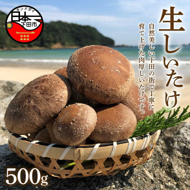 生しいたけ 野菜 (菌床) 500g 下田 伊豆 サントピア下田