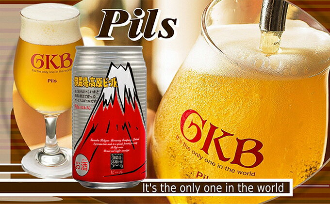 【ふるさと納税】御殿場高原ビール ピルス 350ml 24缶セット　【お酒・ビール・酒】