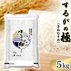 【ふるさと納税】するがの極（きぬむすめ）5kg【お米・5kg】　【米・お米・白米・5kg】