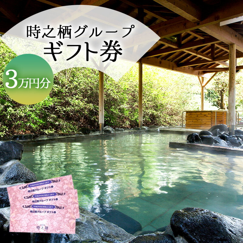 【ふるさと納税】旅行 静岡 時之栖 グループ ギフト券 9,000円分 （3万円寄付コース） チケット 券 旅行券 宿泊券 食事券 利用券 ホテル 温泉 レストラン グランピング 施設 トラベル 観光 体験 旅 ギフト プレゼント 贈答 贈答品 贈り物 静岡県 裾野 裾野市