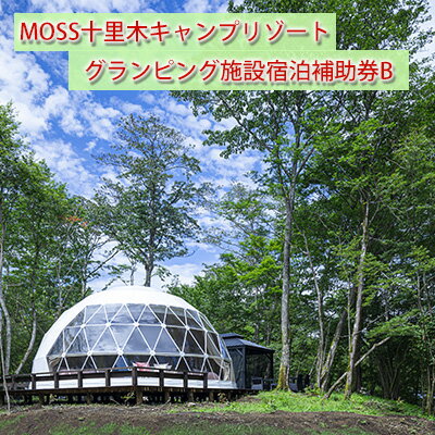 【ふるさと納税】温泉付きグランピングMOSS十里木リゾート 宿泊補助券B　【チケット 富士山 一泊二日 ...