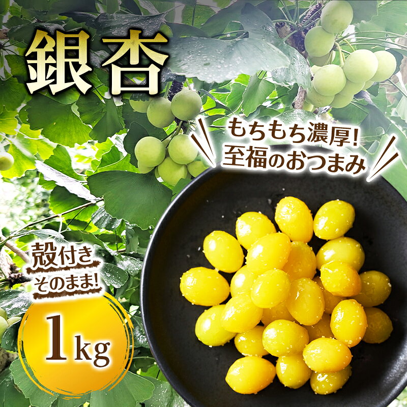 銀杏 1kg ぎんなん ギンナン 裾野産 食材 食品 おつまみ 静岡県 裾野市 お届け:2026年10月1日から2027年1月20日まで