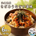 【ふるさと納税】きざみうなぎ蒲焼50g×6個【配送不可地域：離島】【1389401】