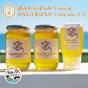 【ふるさと納税】浜名湖ほとり 渚みかんはちみつ・みなと百花はちみつ 各460g・みなと百花はちみつ 300g 3本【1390461】