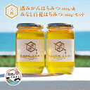 【ふるさと納税】浜名湖ほとりで採れた天然はちみつ 渚みかんはちみつ・みなと百花はちみつ 各460g 2本セット【1394028】