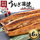 【ふるさと納税】【浜名湖産】うなぎ蒲焼き(真空パック)×6本 タレ・山椒付・お吸い物付【配送不可地域:離島】【1398868】