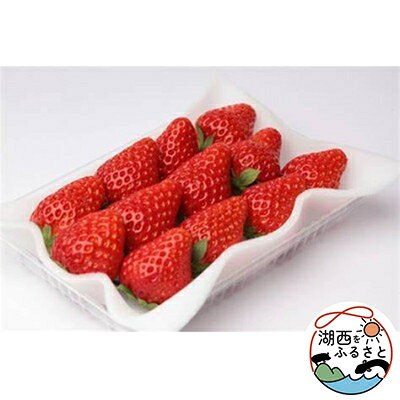 イチゴ 紅ほっぺ 300g×4p (1果重20g以上)【配送不可地域：離島・北海道・沖縄県・東北・中国・四国・九州】【1464217】