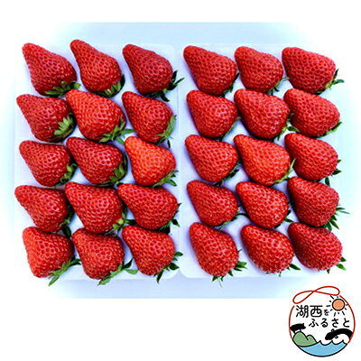 イチゴ 紅ほっぺ 450g×2p(1果重30g以上) ギフトに最適【配送不可地域：離島・北海道・沖縄県・東北・中国・四国・九州】【1464218】