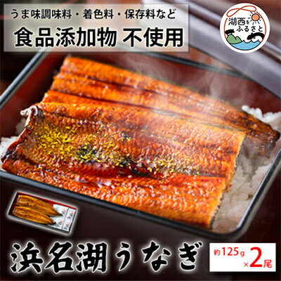 食品添加物不使用の浜名湖うなぎ 蒲焼2尾(約125g×2)[配送不可地域:離島]