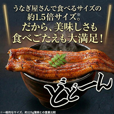 【ふるさと納税】食品添加物不使用の浜名湖うなぎ　長蒲焼1尾(約180g×1)大きなうなぎなので脂ノリノリです!【配送不可地域：離島】【1472423】 f222216-kosai-10000693 静岡県湖西市 サンプル画像2