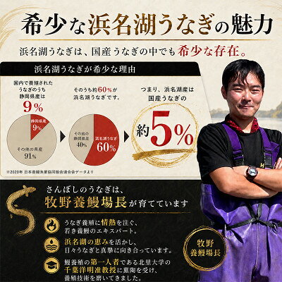 【ふるさと納税】食品添加物不使用の浜名湖うなぎ　長蒲焼1尾(約180g×1)大きなうなぎなので脂ノリノリです!【配送不可地域：離島】【1472423】 f222216-kosai-10000693 静岡県湖西市 サンプル画像3