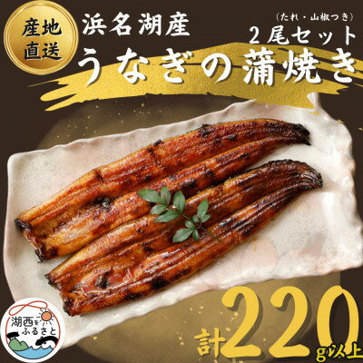 [ 国産 ] 浜名湖うなぎ 蒲焼き 110g以上 2本 セット ( たれ ・ 山椒 付き)_ うなぎ ウナギ 鰻 蒲焼 かば焼き 浜名湖産 浜名湖 静岡県 湖西市 ふるさと 惣菜 おかず 人気 美味しい [配送不可地域:離島]