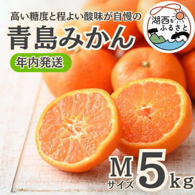 【ふるさと納税】【年内発送】【12月中旬より順次出荷予定】青島みかん約5kg Mサイズ〔鈴木農園〕【1510098】