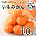【ふるさと納税】【先行予約】【11月上旬より順次出荷予定】早生みかん約10kg サイズミックス〔鈴木農園〕【1510106】