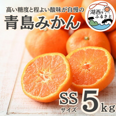 【ふるさと納税】【先行予約】【2026年1月初旬頃より順次出荷予定】青島みかん約5kg SSサイズ〔鈴木農園〕【1510107】 【ふるさと納税】【先行予約】【2026年1月初旬頃より順次出荷予定】青島みかん約5kg SSサイズ〔鈴木農園〕【1510107】