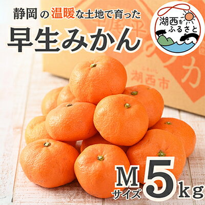 【ふるさと納税】【先行予約】【11月上旬より順次出荷予定】早生みかん約5kg Mサイズ〔鈴木農園〕【1510109】 【ふるさと納税】【先行予約】【11月上旬より順次出荷予定】早生みかん約5kg Mサイズ〔鈴木農園〕【1510109】
