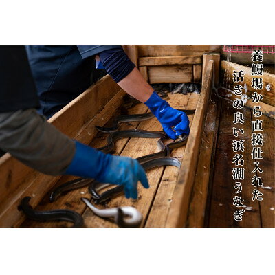 【ふるさと納税】浜名湖産うなぎ　大・長蒲焼パック 2枚入り/ 4枚入り【配送不可地域：離島】【G1533780】 f222216-kosai-10000950 静岡県湖西市 サンプル画像3
