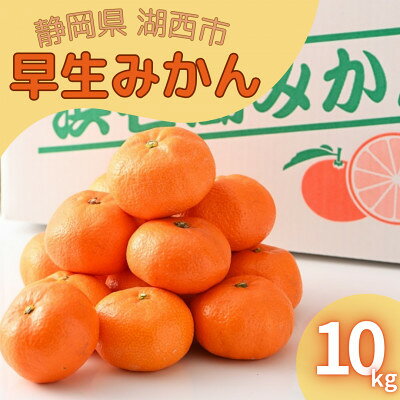 【2025年11月発送開始】浜名湖の「早生みかん」10kg 【1537439】