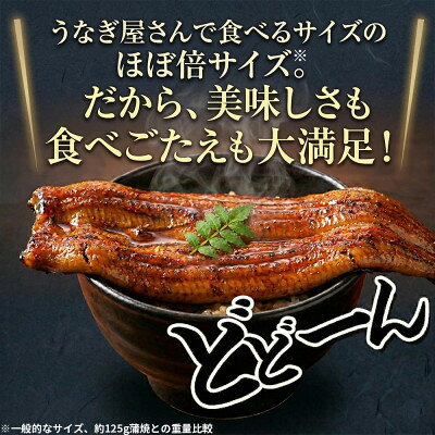 【ふるさと納税】大豆イソフラボンで育てた浜名湖うなぎ蒲焼「やわら華」大きくて肉厚 (約250g×1尾)【配送不可地域：離島】【1729563】 f222216-kosai-10001142 静岡県湖西市 サンプル画像2