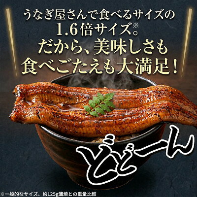 【ふるさと納税】大豆イソフラボンで育てた浜名湖うなぎ蒲焼「やわら華」大きくて肉厚 (約200g×2尾)【配送不可地域：離島】【1746436】 f222216-kosai-10001148 静岡県湖西市 サンプル画像2