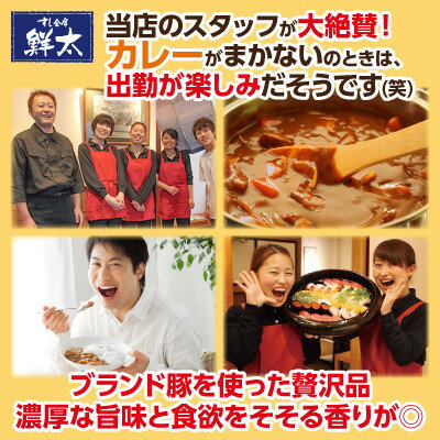 【ふるさと納税】【毎月定期便】寄付額は高いが旨い!寿司屋の大将、本気のまかないカレー!豚肉ゴロゴロで旨い!3食全3回【配送不可地域：離島】【4079162】