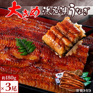 【ふるさと納税】食品添加物不使用の 浜名湖うなぎ 長蒲焼 3尾 (約180g×3) 大きなうなぎで脂ノリノリです! 肝焼き 付き_ うなぎ 鰻 ウナギ 浜名湖 浜名湖産 国産 静岡県 湖西市 人気 美味しい 惣菜 おかず 魚 ふるさと 【配送不可地域:離島】【1472434】