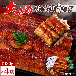 【ふるさと納税】食品添加物不使用の 浜名湖うなぎ 長蒲焼 4尾 (約180g×4) 大きなうなぎで脂ノリノリです! 肝焼き 付き_ うなぎ 鰻 ウナギ 国産 浜名湖産 静岡県 湖西市 国産 惣菜 おかず 人気 美味しい ふるさと 【配送不可地域:離島】【1472443】