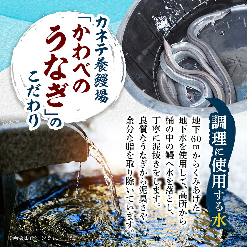 【ふるさと納税】【浜名湖産 鰻】きざみうなぎ蒲焼約50g×6袋/14袋 カットうなぎ[かわべのうなぎ]産地直送/冷凍【配送不可地域：離島】【G1664835】 f222216-kosai-10001036 静岡県湖西市 サンプル画像3