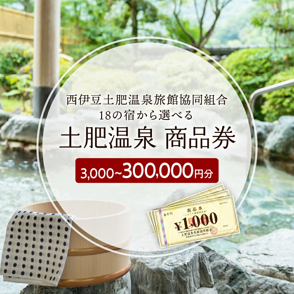 【ふるさと納税】土肥温泉 商品券 (選べる / 3,000円分～300,000円分) 土肥温泉旅館協同組合 / 西伊豆 土肥 温泉 温泉宿 宿 ホテル 旅館 宿泊 ご宿泊 宿泊券 宿泊利用券 チケット クーポン お食事 お食事券 旅行 入浴 国内 中部 静岡 静岡県 伊豆市