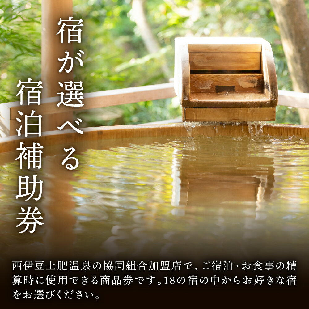 【ふるさと納税】土肥温泉 商品券 (選べる / 3,000円分~300,000円分) 土肥温泉旅館協同組合 / 西伊豆 土肥 温泉 温泉宿 宿 ホテル 旅館 宿泊 ご宿泊 宿泊券 宿泊利用券 チケット クーポン お食事 お食事券 旅行 入浴 国内 中部 静岡 静岡県 伊豆市その2