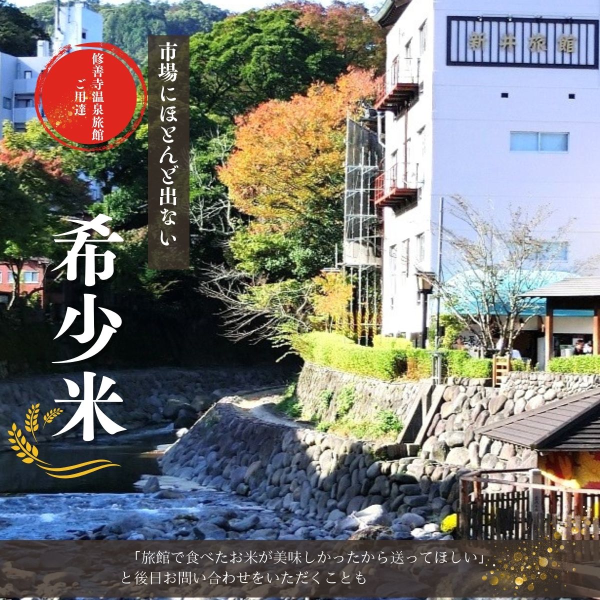 【ふるさと納税】数量限定！ 定期便（全3回）修善寺 桂流こしひかり5kg コシヒカリ 白米 お米 おこめ 精米 ブランド米 国産 ごはん ご飯 おにぎり おむすび 弁当 送料無料 お取り寄せ 静岡 静岡県 伊豆市 [045-003]