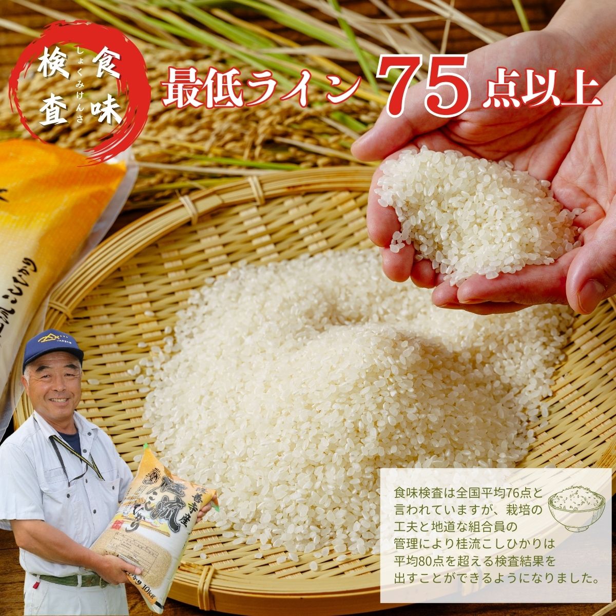【ふるさと納税】 ＜数量限定＞ 米 桂流 こしひかり 5kg 特別栽培米 コシヒカリ 白米 お米 おこめ 精米 ブランド米 国産 ごはん ご飯 おにぎり おむすび 弁当 送料無料 お取り寄せ 静岡 静岡県 伊豆市 [015-013] f222224-izu-10000598 静岡県伊豆市 サンプル画像3