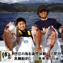 【ふるさと納税】D-11　伊豆の海満喫体験！土肥沖真鯛船釣S‐VIP乗船券1名様