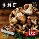 【ふるさと納税】原木栽培の 生しいたけ 1kg / 伊豆産 伊豆 肉厚 1キロ 無農薬 無肥料 生 シイタケ 椎茸 きのこ キノコ 茸 野菜 お取り寄せ 冷蔵 送料無料 国産 国内 中部 静岡 静岡市 伊豆市 010-002