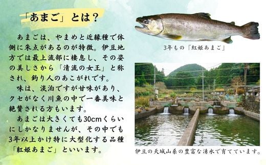 【ふるさと納税】あまごの黄金イクラ (白醤油づけ) 120g / 伊豆 天城 紅姫 あまご いくら 醤油漬け 冷凍 希少 サーモン 鮭 国産 紅姫 絶品 縁起 お取り寄せ 贈答 贈り物 ギフト 静岡県 伊豆市 [012-013]