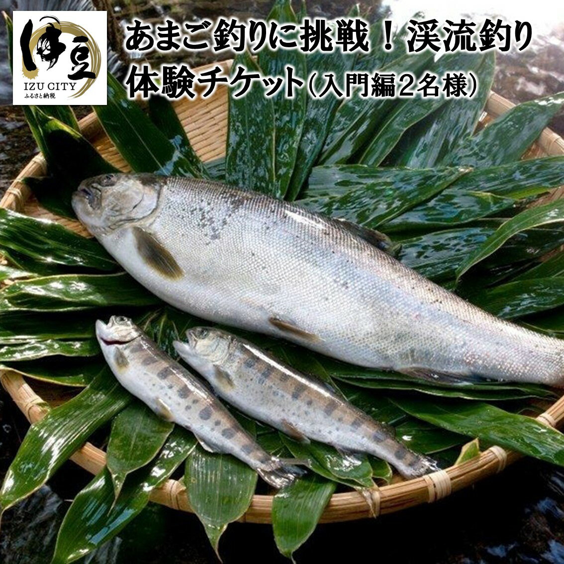 【ふるさと納税】 伊豆 湯ヶ島 あまご 渓流 釣り 体験 チケット 入門編 2名様 ペア 手ぶら 竿 エサ込 餌 滝 絶景 アマゴ 魚 アウトドア..