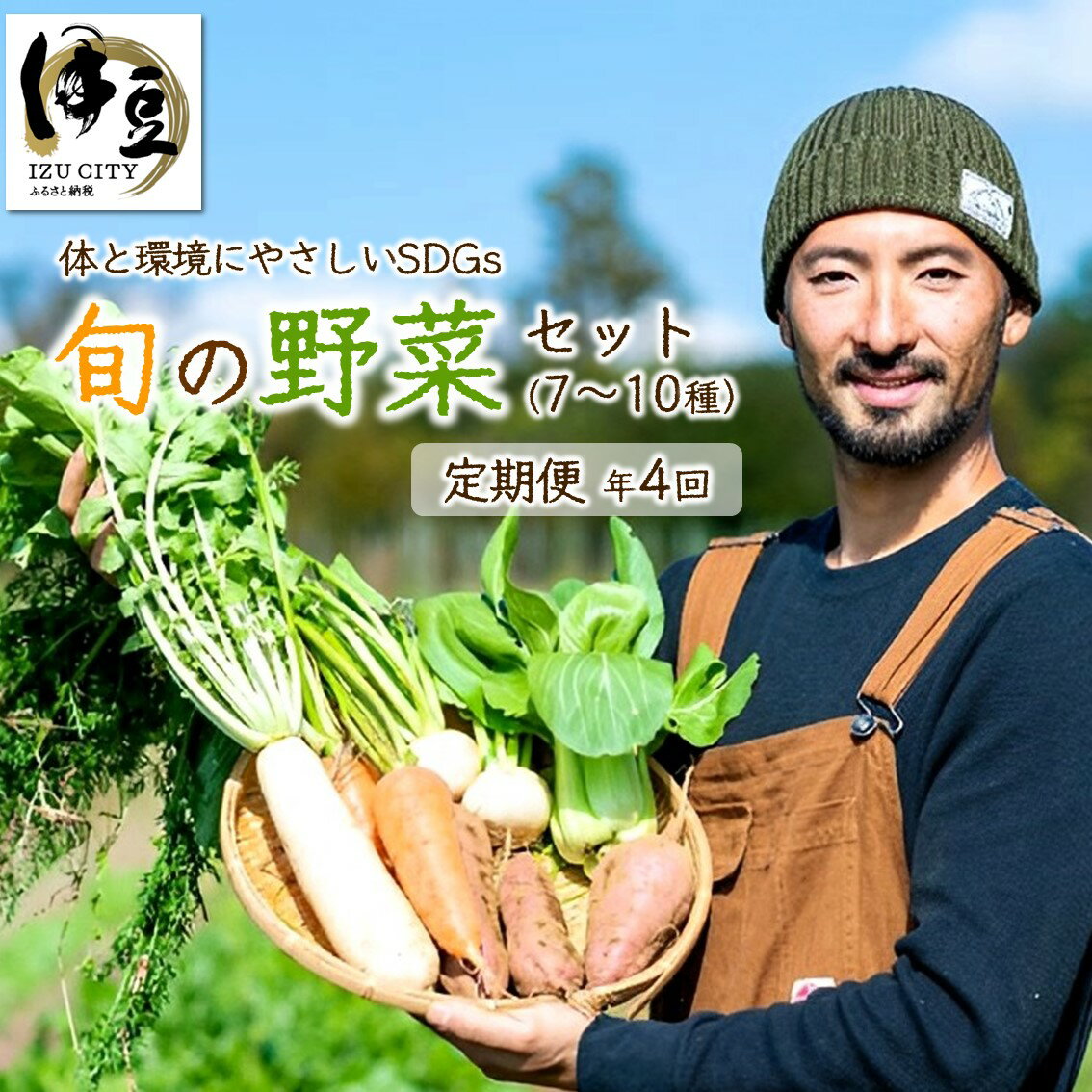 【ふるさと納税】 発送時期が選べる 旬の野菜 7～10種 定期便 全4回 [040-006] 伊豆 栽培期間中農薬・肥料不使用 自然栽培 旬 新鮮 直送 自然 SDGs 野菜 ベジタブル おまかせ 詰め合わせ お取り寄せ グルメ 送料無料 国内 中部 静岡 静岡県 伊豆市