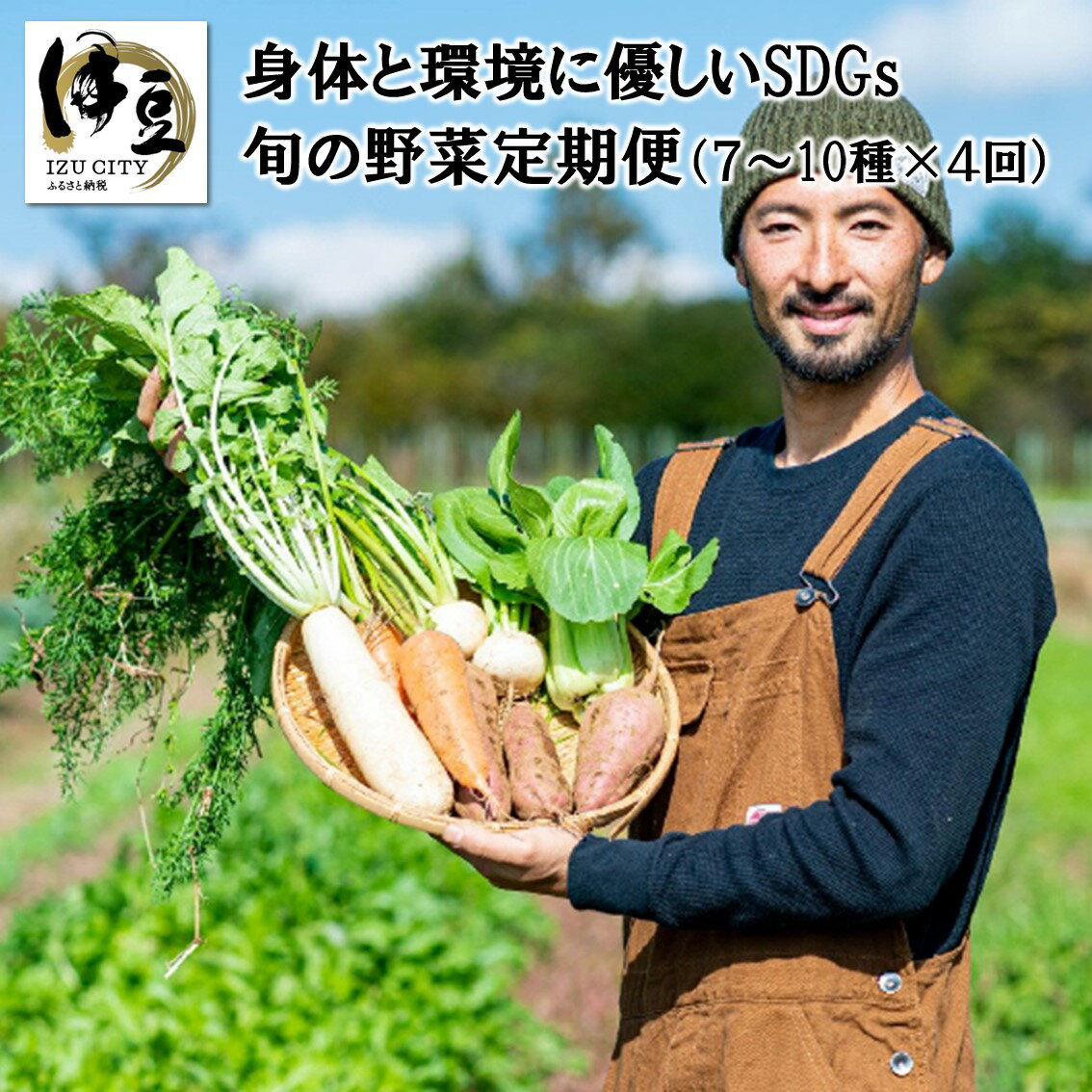 【ふるさと納税】D-031 身体と環境に優しいSDGs旬の野菜定期便【4回】