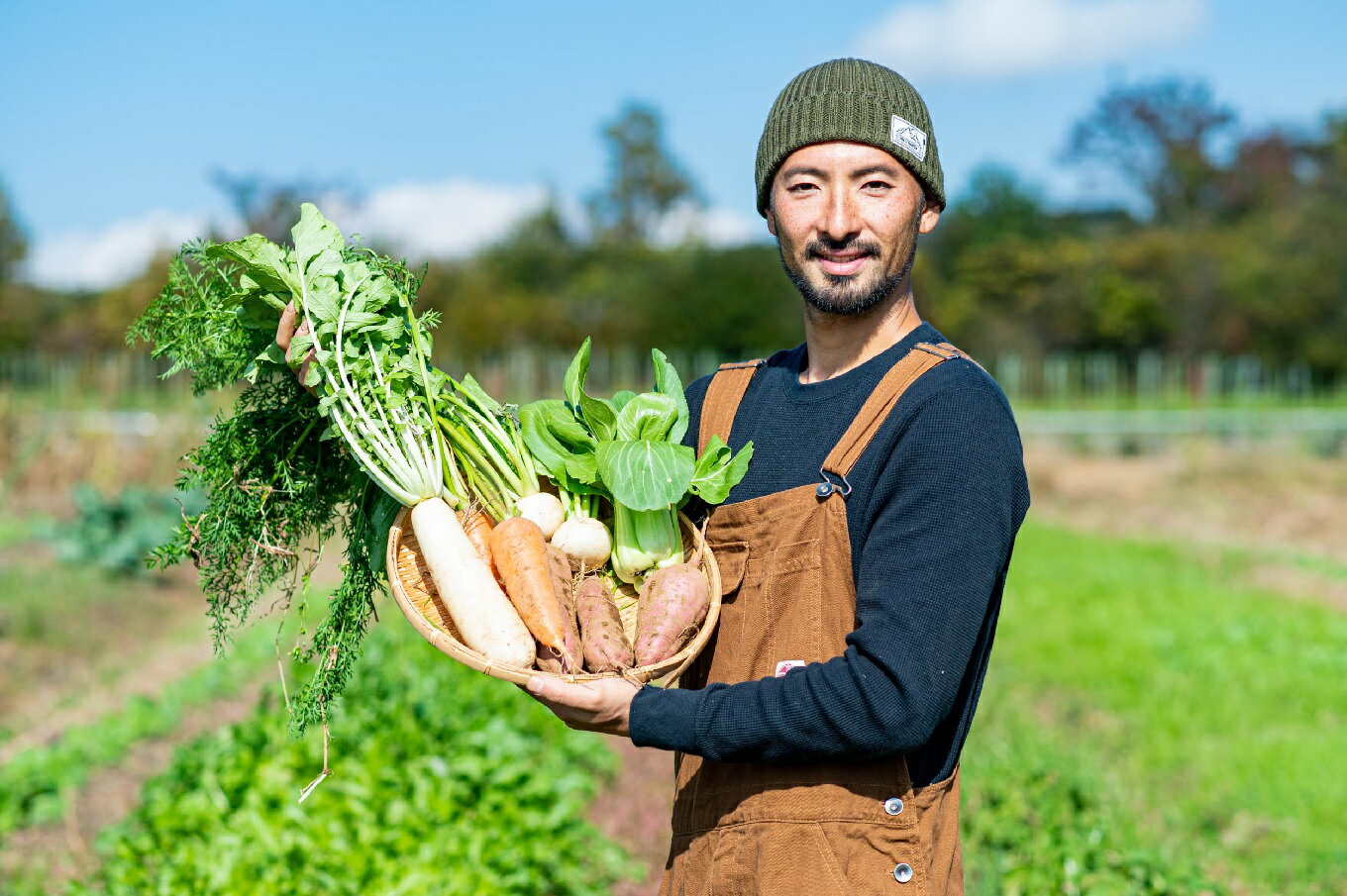 【ふるさと納税】D-031 身体と環境に優しいSDGs旬の野菜定期便【4回】