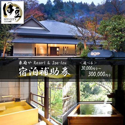 東府や Resort＆Spa-Izu 宿泊補助券 (選べる/30,000円分～300,000円分) / 静岡県 伊豆市 吉奈温泉 和のリゾート 温泉 温泉宿 宿 ホテル 旅館 老舗 高級 贅沢 宿泊 補助券 商品券 チケット クーポン 旅行 入浴 国内 東海 静岡 伊豆 izu [F-40]