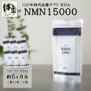 【ふるさと納税】 RNA NMN15000 約6ヶ月分 (60粒入×6袋)[12-001] nnmn サプリ サプリメント 国内製造 高純度 耐酸性 カプセル タブレット 健康 国内 静岡県 伊豆市 静岡 伊豆 izu