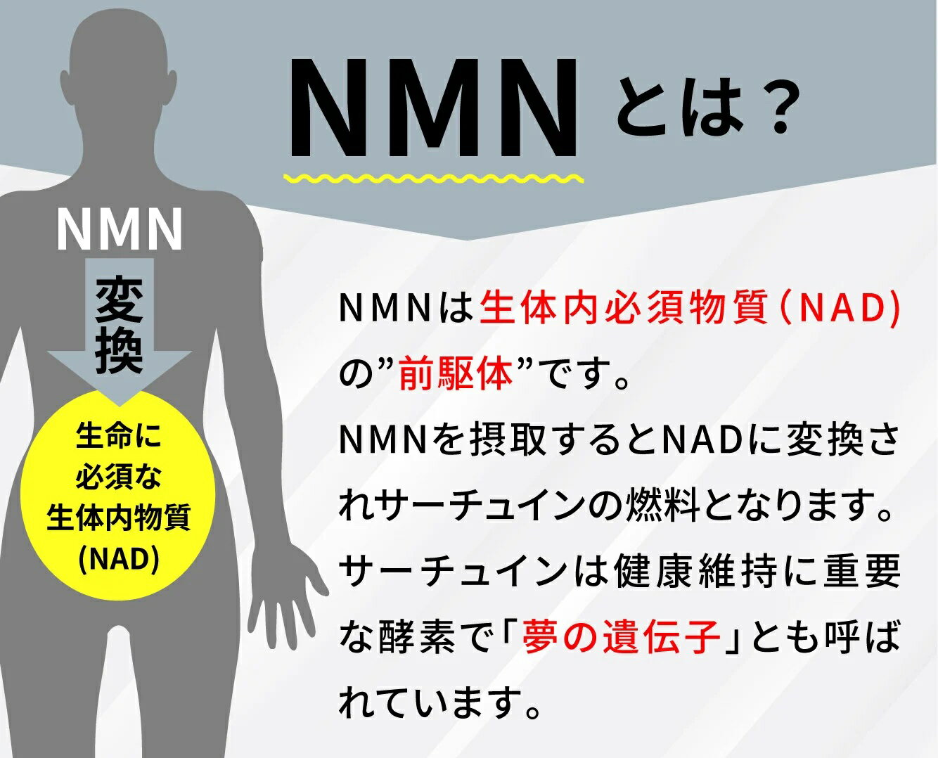 【ふるさと納税】 RNA NMN15000 約10ヶ月分 (60粒入×10袋)[F-44] nmn サプリ サプリメント 国内製造 高純度 耐酸性 カプセル タブレット 健康 国内 静岡県 伊豆市 静岡 伊豆 izu